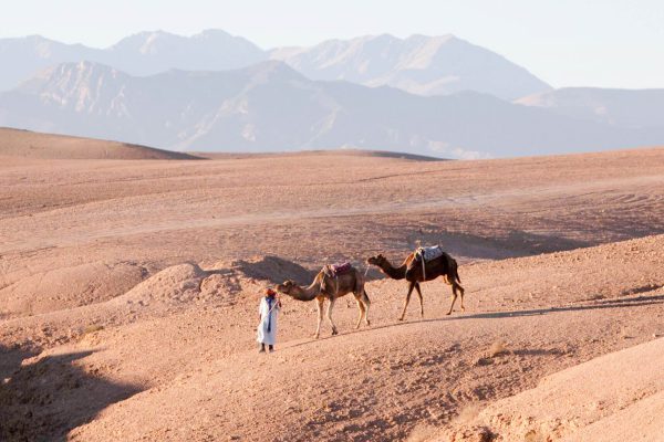 Camel ride in Agafay desert